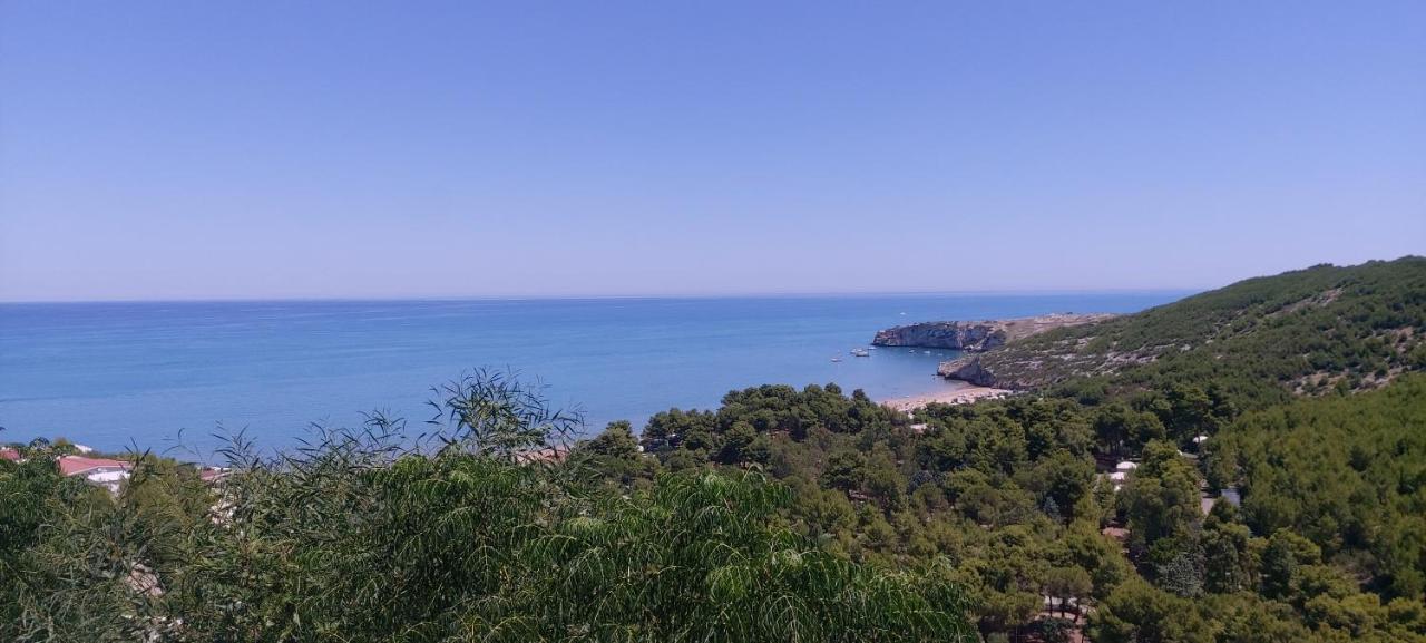 פסקיצ'י Appartamenti Miramar מראה חיצוני תמונה